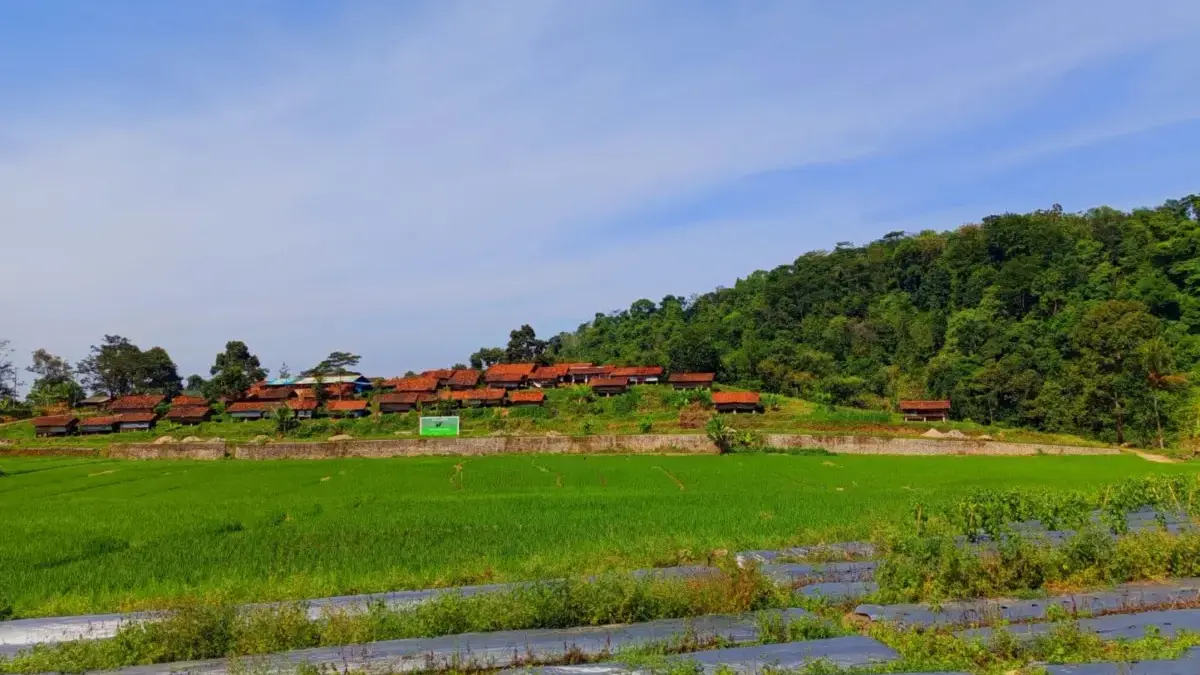 Anggaran Banyak Dicoret, Ini Fokus Distanhorti Jabar Anggaran Banyak Dicoret, Ini Fokus Distanhorti Jabar
