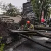 Pohon Tumbang Sempat Tutup Jalan Surapati Bandung