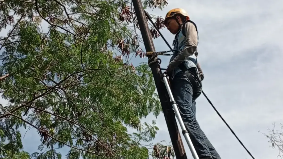 PLN Icon Plus Tingkatkan Keandalan Jaringan Lewat Penataan dan Pemeliharaan Aset di Cibeber, Cirebon PLN Icon Plus Tingkatkan Keandalan Jaringan Lewat Penataan dan Pemeliharaan Aset di Cibeber, Cirebon