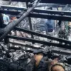 Kandang Domba di Sumedang Ludes Terbakar, Puluhan Ekor Ternak Terpanggang Si Jago Merah Mengamuk Sumedang, Puluhan Ekor Domba Terpanggang