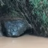 Viral Batu Ular Raksasa di Thailand, Dijuluki “Naga Tidur” dan Dianggap Penjaga Sungai Sakral