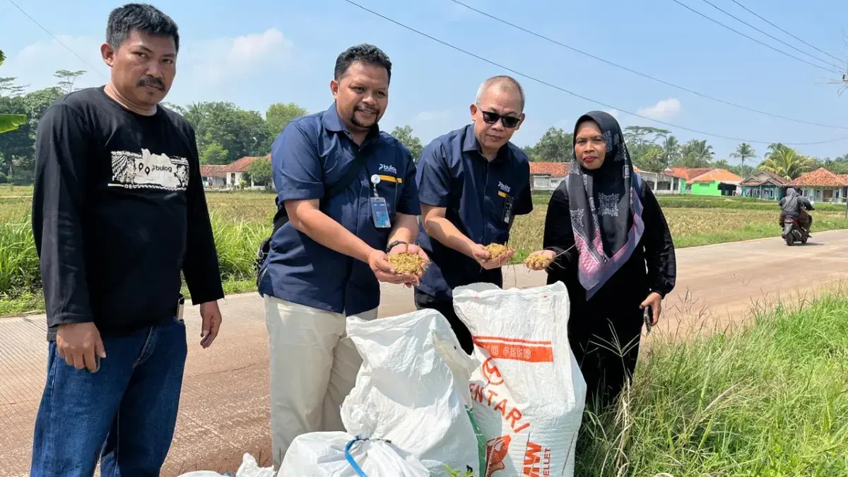 BULOG pastikan serap gabah petani sesuai arahan pemerintah serta mendukung Program KDMP dan MBG