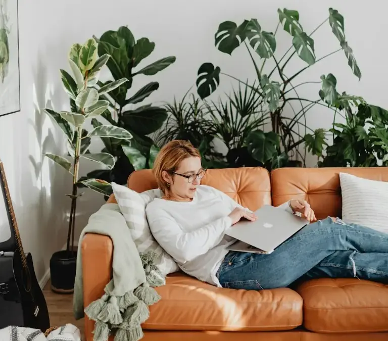 4 Tanaman Hias untuk Dekorasi di Dalam Rumah, Bikin Suasana Makin Sejuk 4 Tanaman Hias untuk Dekorasi di Dalam Rumah, Bikin Suasana Makin Sejuk