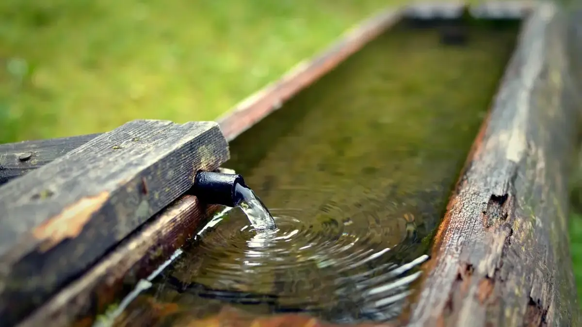 Air Tanah vs Air Gunung untuk Minum: Fakta Menarik dan Mana yang Lebih Layak? Air Tanah vs Air Gunung untuk Minum: Fakta Menarik dan Mana yang Lebih Layak?