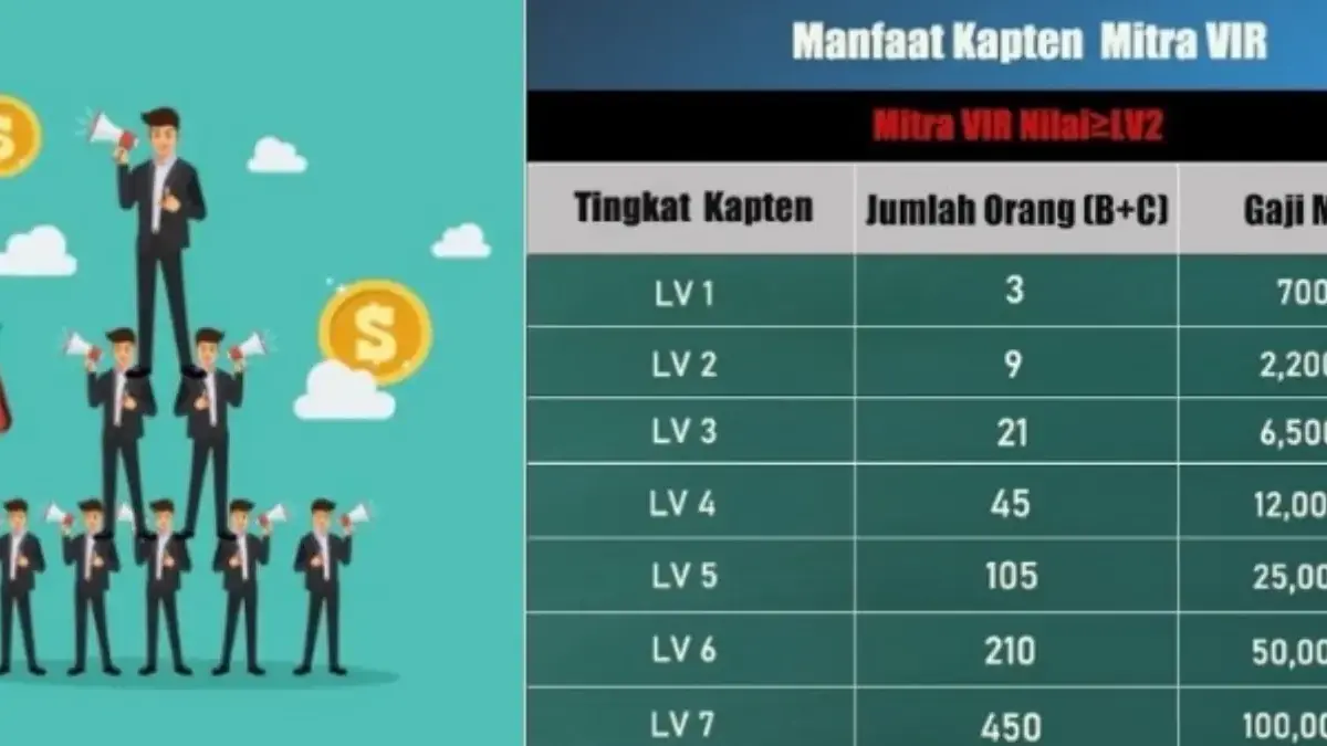 Bukti Aplikasi VIR Adalah Ponzi, STOP, Jangan Percaya Lagi Apliaksi VIR yang terbukti menggunakan Skema PONZI