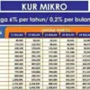 Bagi masyarakat yang butuh tambahan modal, kini Bank BRI tengah gencar memberikan pinjaman melalui program KUR