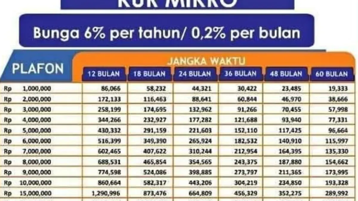 Bagi masyarakat yang butuh tambahan modal, kini Bank BRI tengah gencar memberikan pinjaman melalui program KUR