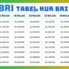 Ajukan KUR BRI 2025 Terbaru dengan Cicilan Terjangkau Rp30 Ribuan, Pinjaman hingga Rp50 juta!