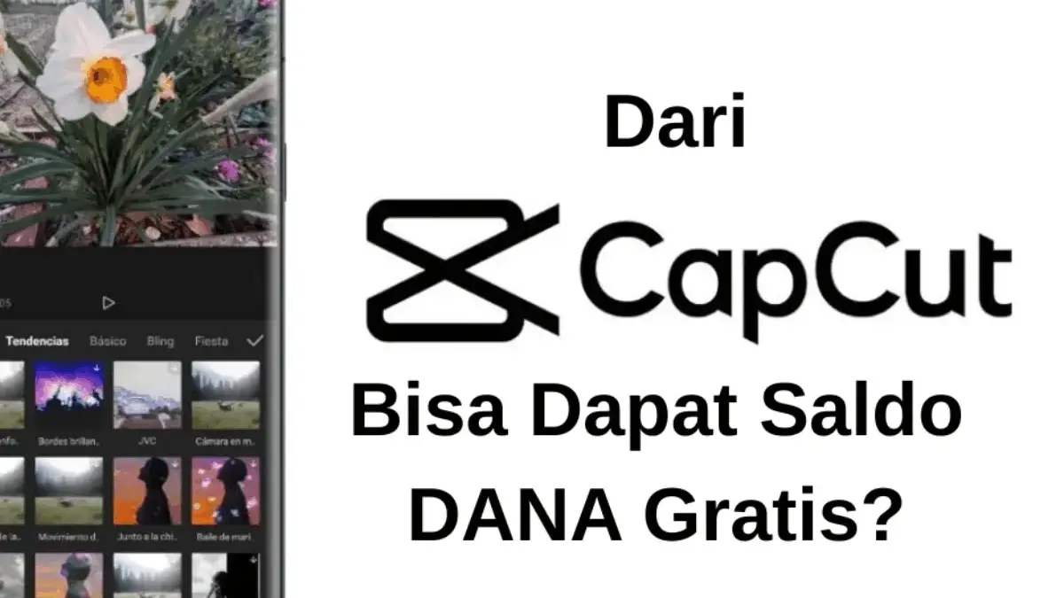 Dari CapCut Bisa Dapat Saldo DANA Gratis Cek Detail Caranya di Sini!