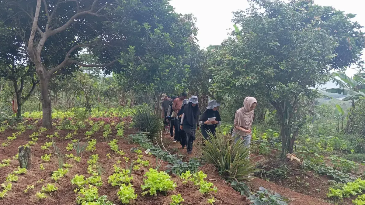 Yang Merekah di Desa Wisata Mekarlaksana Pemandu wisata atau tour guide dari Desa Wisata Mekarlaksana bersama para pelajar saat edukasi pertanian