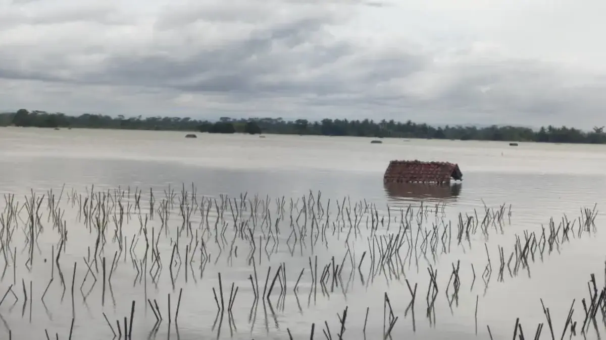 Banjir Kembali Rendam Padaherang dan Kalipucang, Jalur Nasional Pangandaran Tersendat