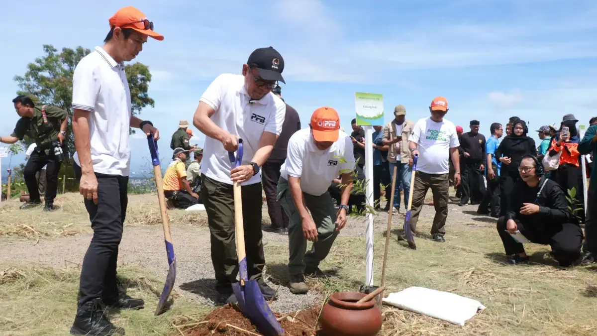 Antisipasi Bencana Alam, BNPB Tanam 216 Ribu Pohon Serentak di Tiga Wilayah