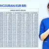 Update Tabel Angsuran KUR BRI November 2025: Pinjaman Mikro dan Kecil Rp10–500 Juta untuk UMKM