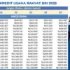 Cicilan KUR BRI 2025 Mulai Rp21 Ribuan per Bulan! Kuota Rp30 Triliun Masih Tersedia, Buruan Ajukan Sekarang!