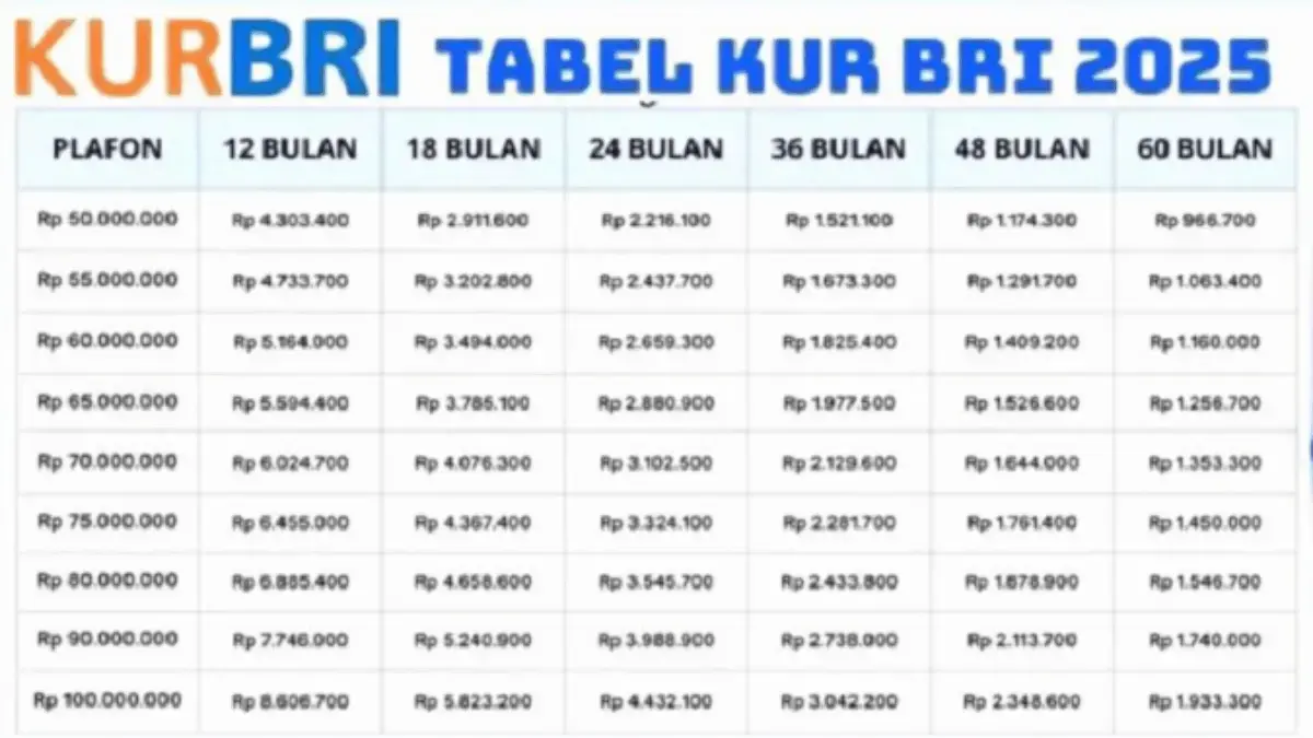Skema Terbaru KUR BRI 2025: Pinjaman Modal Usaha Rp100 Juta dengan Cicilan Terjangkau!
