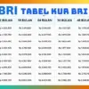 KUR BRI 2025 Terbaru Bulan November Pilihan Pinjaman UMKM Mulai Rp1Juta–Rp5 Juta dengan Angsuran Terjangkau!