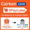 Begini Cara Mencairkan Limit SPayLater ke Rekening atau E-Wallet