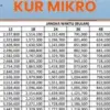 Tabel Angsuran KUR BRI 2025 Mulai dari Rp21 Ribu per Bulan, Cek yang Terbaru di Sini!