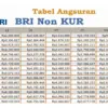 Tabel Pinjaman Non BRI Terbaru 2025 dengan Angsuran Ringan Mulai Rp4 Ribuan, untuk Modal dan Dana Cepat