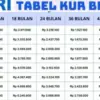 Simulasi KUR BRI 2025 di Bulan November: Panduan Lengkap untuk UMKM
