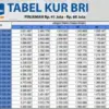 Skema Angsuran KUR BRI 2025 60 Juta, Cicilan 50 Ribu Cek Penjelasannya di Sini!