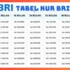 Skema Angsuran KUR BRI 2025 untuk UMKM: Cek Cicilan Hemat Pinjaman 150 Juta, Mulai dari Rp100 Ribuan?