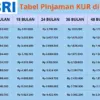 Tabel KUR BRI Pinjaman 70 Juta Cicilan 350 Ribu per Bulan? Cek Detail Angsurannya di Sini!