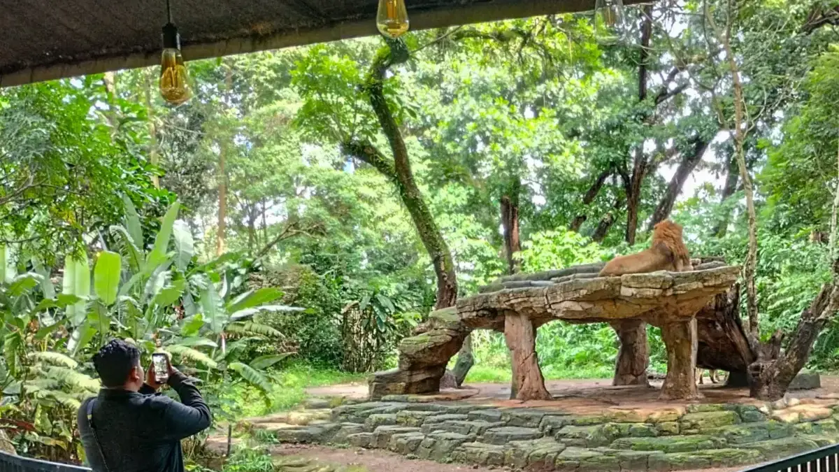Bandung Zoo Disegel, FK3I Sorot Sikap Pemkot yang Dinilai Gegabah Jurnalis memotret satwa di area Kebun Binatang Bandung, Jumat (7/11)