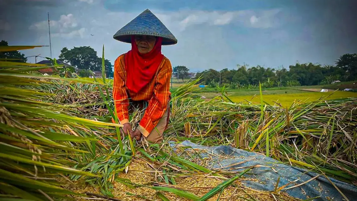 Bantuan Alsintan Pemerintah Pusat Buat Petani KBB Lebih Produktif dan Efisien