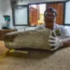 Fosil Gajah Purba Nganjuk Mulai Dipreparasi di Museum Geologi Bandung