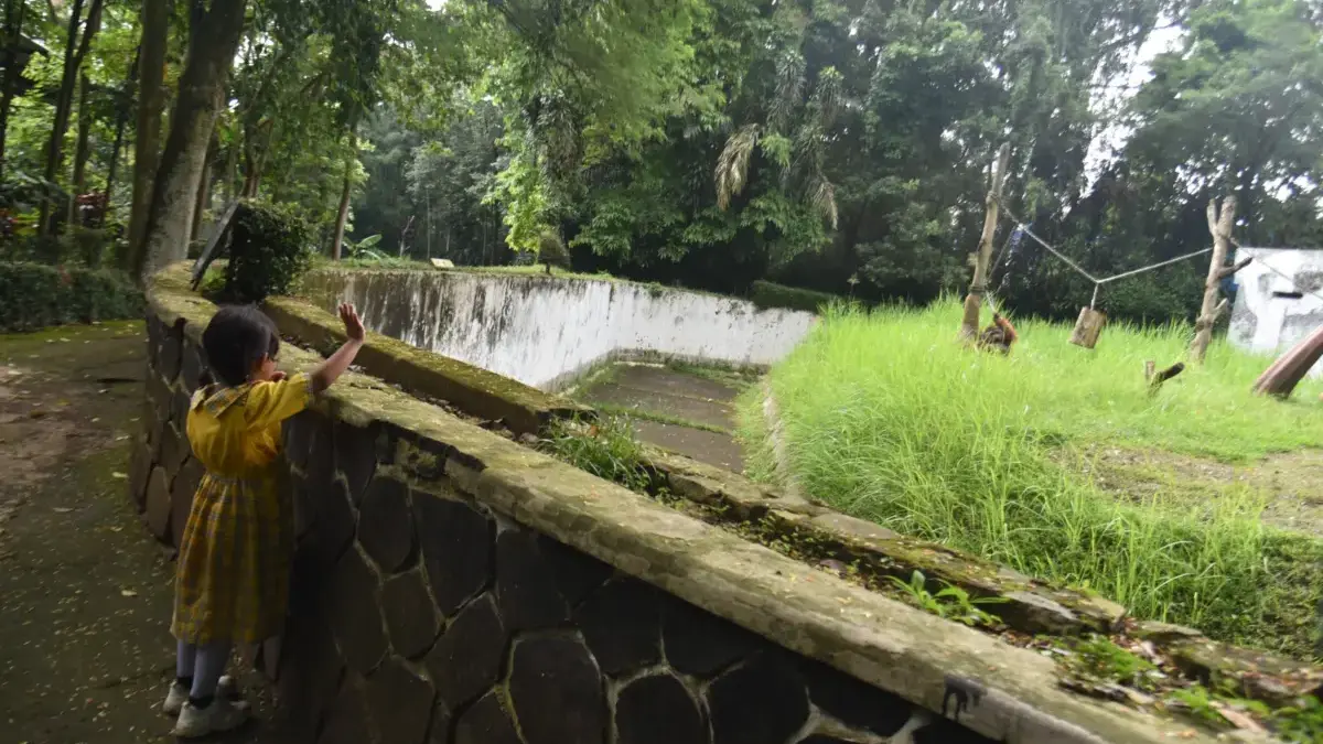 Ono Surono DesaNGO Asing Soroti Penutupan Bandung Zoo, ABM Dorong KPK Turun Tangan