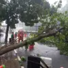 Hujan Deras Disertai Angin Kencang di Kota Bogor, 3 Pohon Tumbang dan 9 Rumah Warga Terdampak