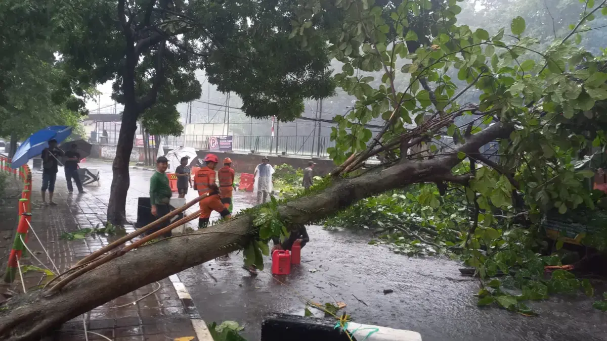 Hujan Deras Disertai Angin Kencang Landa Kota Bogor, 3 Pohon Tumbang! Hujan Deras Disertai Angin Kencang di Kota Bogor, 3 Pohon Tumbang dan 9 Rumah Warga Terdampak