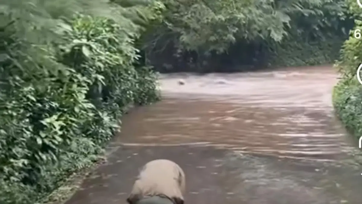 Banjir Terjang Area Safari Journey, Manajer Marcom TSI Bogor Buka Suara