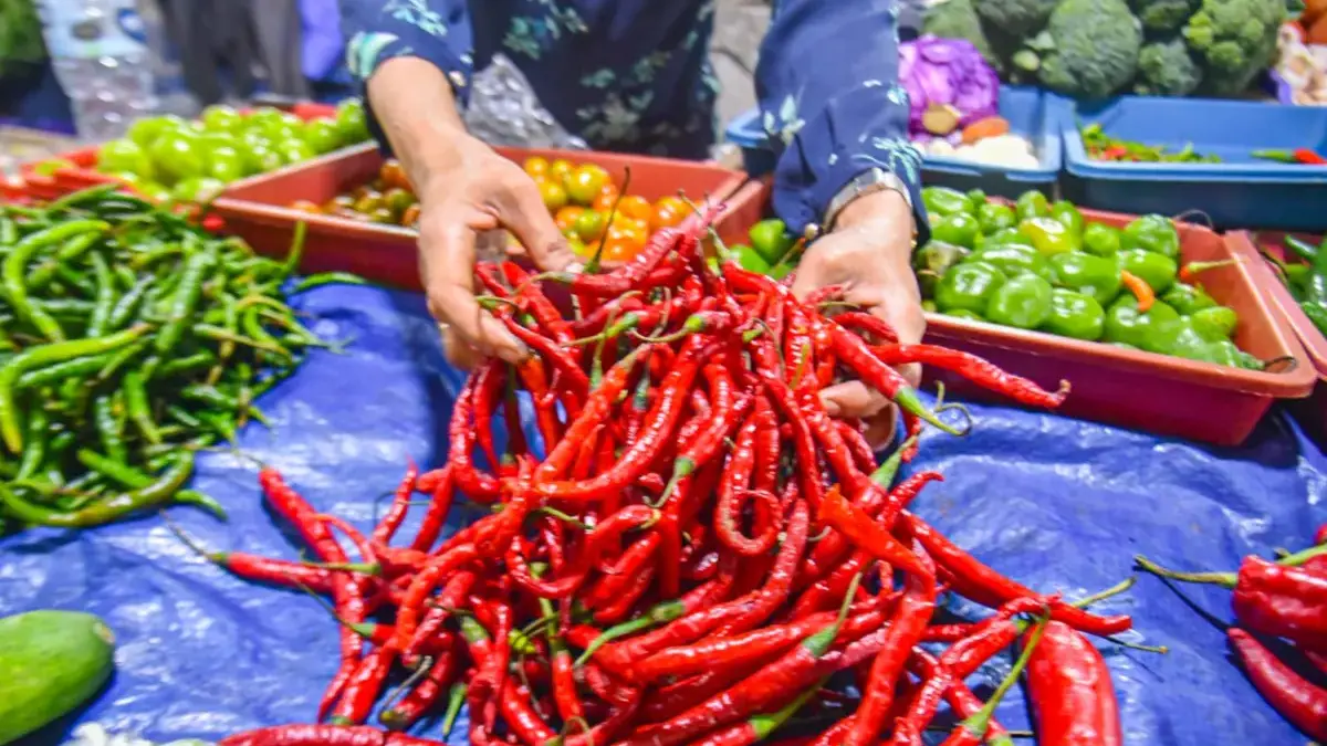 Harga Cabai Naik Akibat Cuaca Buruk, Pemkot Klaim Masih dalam Batas Wajar