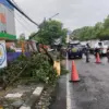 Hujan Deras Sebabkan Pohon Tumbang di Jalan Ibrahim Adjie Bandung, Arus Lalu Lintas Sempat Terganggu