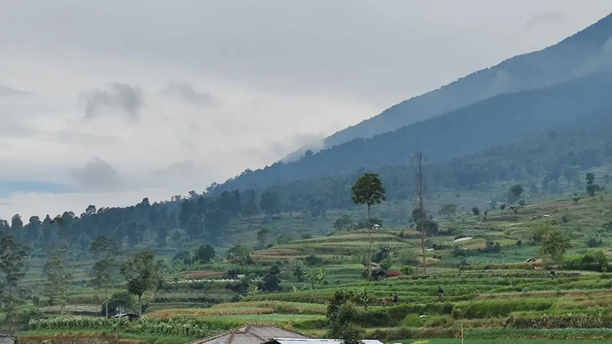 Energi Bersih dari Jawa Barat: Bagaimana Pengembangan PLTP Bisa Selaras dengan Konservasi Alam