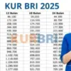 KUR BRI