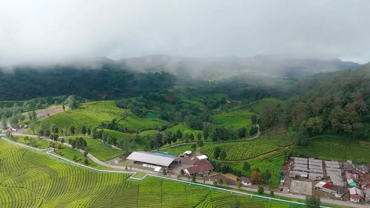 Mendorong Energi Bersih Melalui Panas Bumi: Fakta Ilmiah dan Praktik Pengelolaan yang Aman Pemanfaatan geothermal yang turut dirasakan masyarakat Jawa Barat melalui peningkatan keandalan sistem kelistr