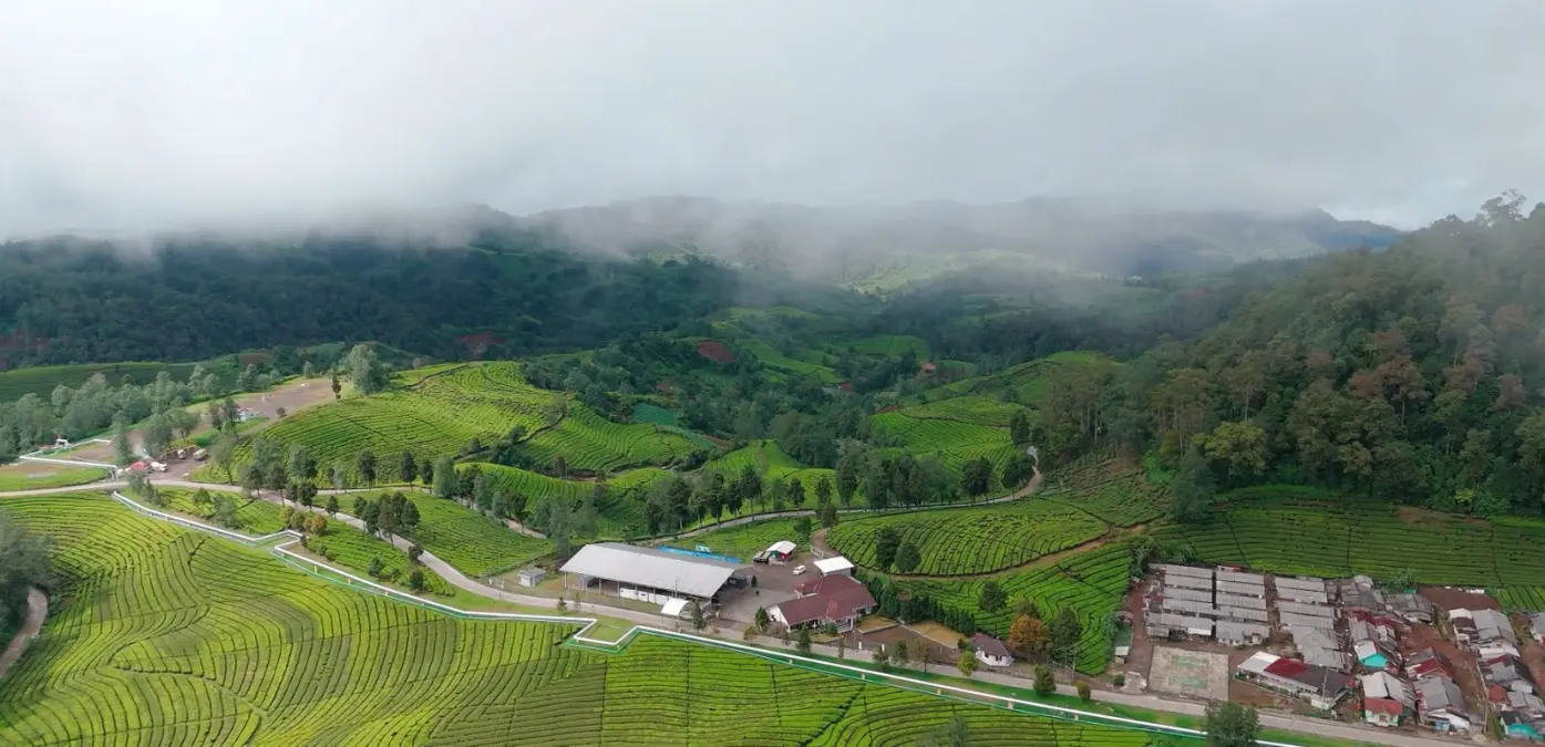 Mendorong Energi Bersih Melalui Panas Bumi: Fakta Ilmiah dan Praktik Pengelolaan yang Aman