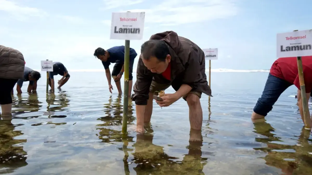 Telkomsel Ajak Pelanggan Jadi Pahlawan Lingkungan: Tanam Bibit Lamun dan Bangun Rumah Kultivasi di Pangandaran Penanaman 3.000 bibit Seagrass/Lamun serta pembangunan Rumah Kultivasi di kawasan Pantai Karapyak, Kabupaten P