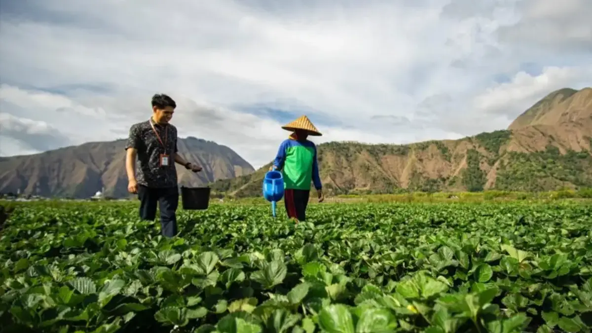 Salah satu aktivitas bisnis UMKM BRI.