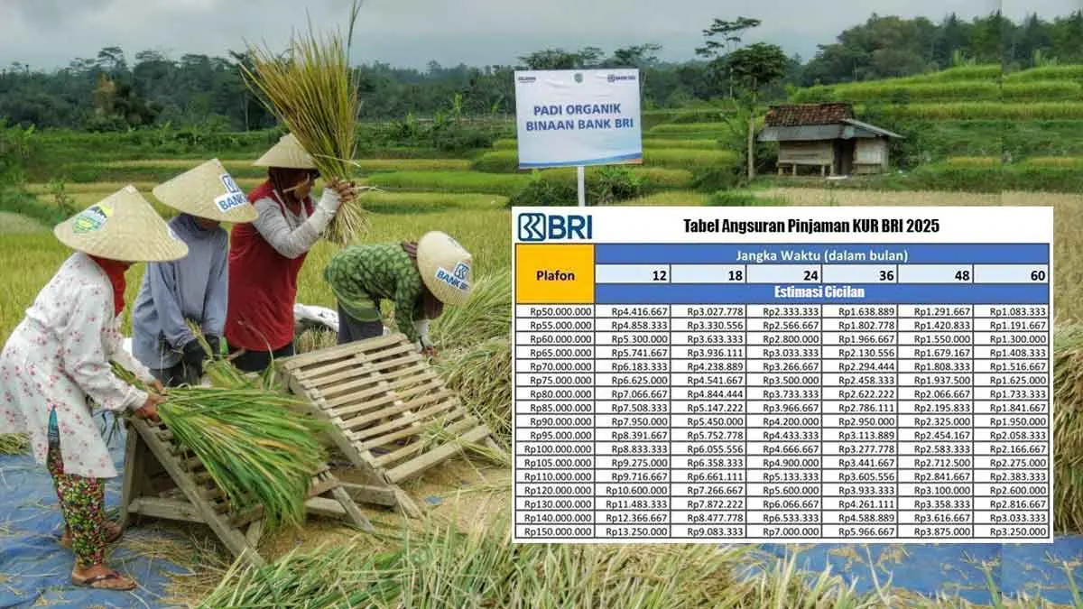 KUR BRI Desember 2025 untuk Nelayan dan Petani: Angsuran Ringan Mulai dari Rp20 Ribuan KUR BRI 2025 untuk petani