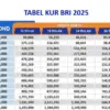 Angsuran KUR BRI 2025 Pinjaman 30 Juta Cicilan Mulai 15 Ribu Per Hari? Cocok Untuk Pelaku UMKMAngsuran KUR BRI