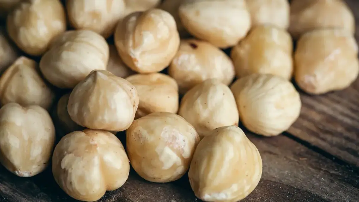 Kemiri Lombok Tengah Kian Mendunia, Ekspor RI Meroket 350 Persen Jadi 9,58 Juta Dolar AS