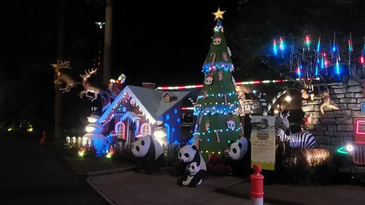 Taman Safari Bogor Hadirkan Safari Malam Spesial Bertema \'Rimba Warna\' Sambut Natal dan Tahun Baru 2026