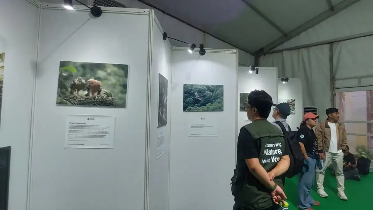 Pameran Spesies Penting Jawa-Bali Hadir di Kota Bogor, Ajak Warga Kenali Satwa Terancam Punah Pameran Spesies Penting Jawa-Bali Hadir di Kota Bogor, Ajak Warga Kenali Satwa Terancam Punah