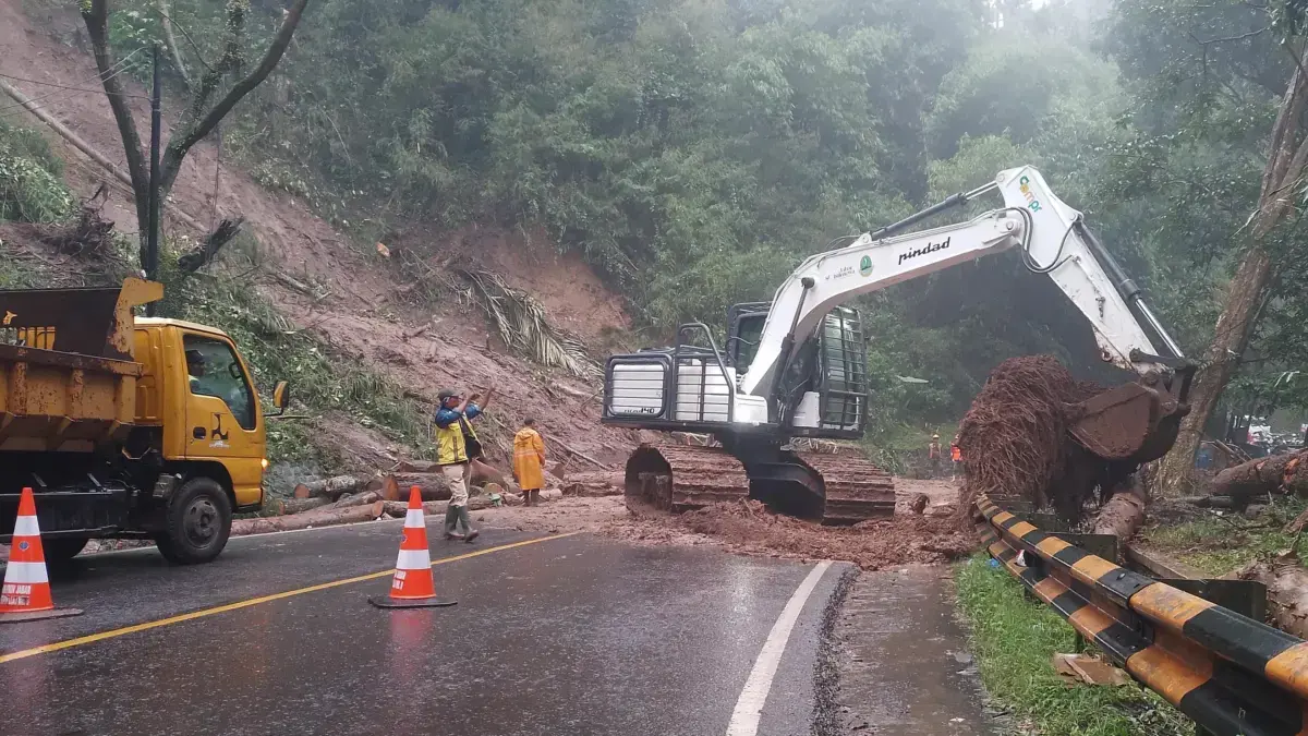 Cadas Pangeran Sumedang Kembali Alami Longsor Disertai Pohon Tumbang, Pengendara Tunggu Evakuasi