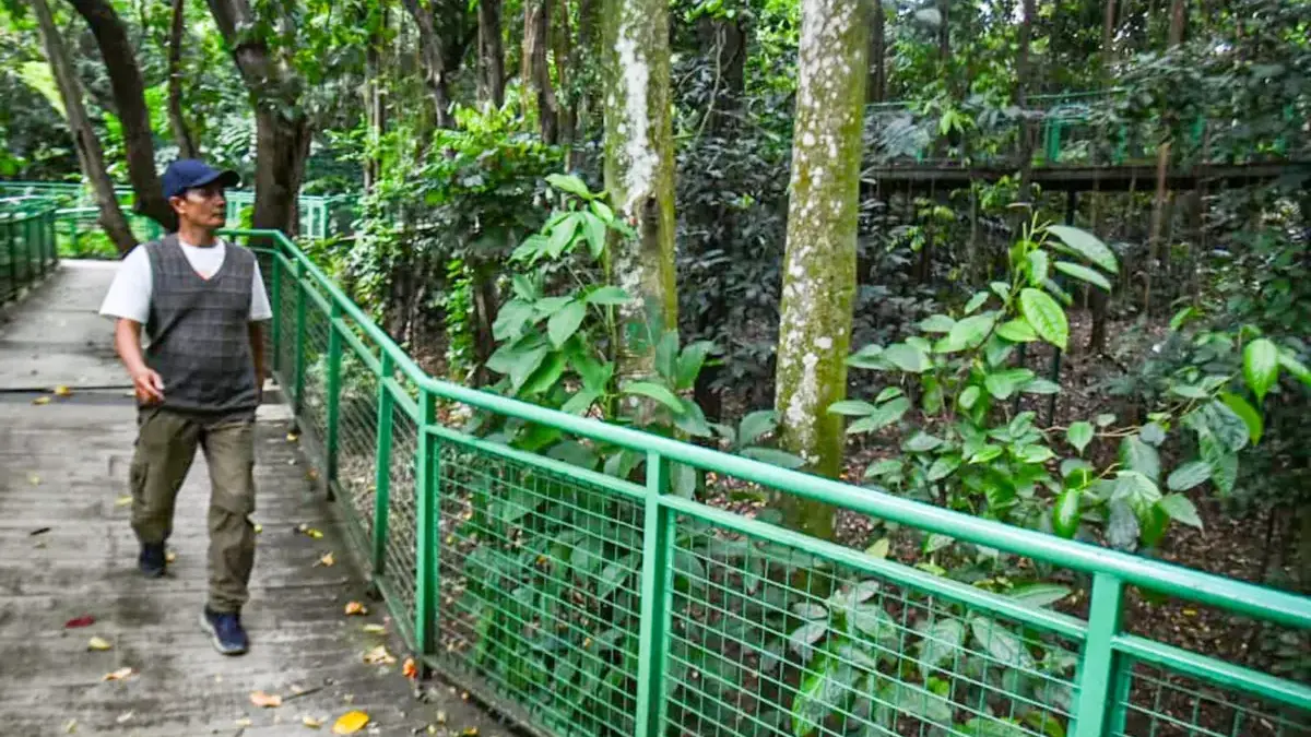Pemkot Bandung Buka Kembali Babakan Siliwangi Usai Revitalisasi Rp3 Miliar
