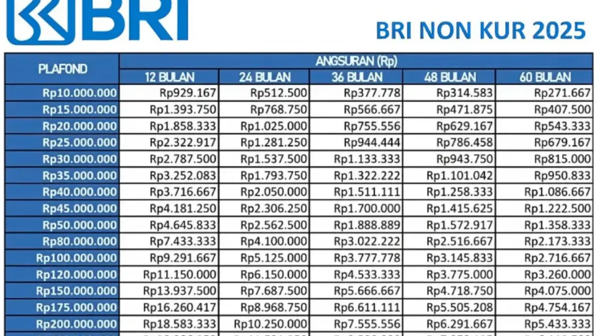 Pinjaman Non KUR BRI Desember 2025: Dana Hingga Rp 100 Juta, Angsuran Mulai Rp 32 Ribuan Per Bulan Pinjaman Non KUR BRI Desember 2025: Dana Hingga Rp 100 Juta, Angsuran Mulai Rp 32 Ribuan Per Bulan